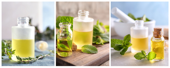 Collage of different photos with essential oils and herbs. Banner design