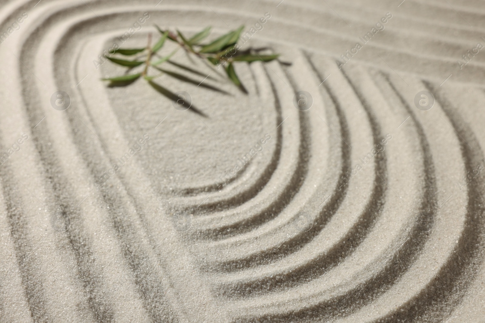 Photo of Beautiful lines and branches on sand, closeup. Zen garden