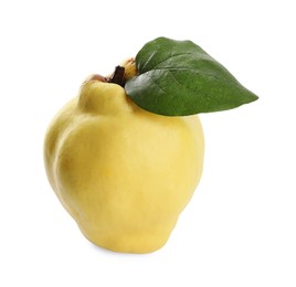 Photo of Fresh ripe quince with leaf on white background