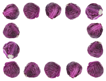 Image of Frame of whole red cabbages on white background