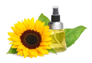 Photo of Sunflower and spray bottle with cooking oil on white background