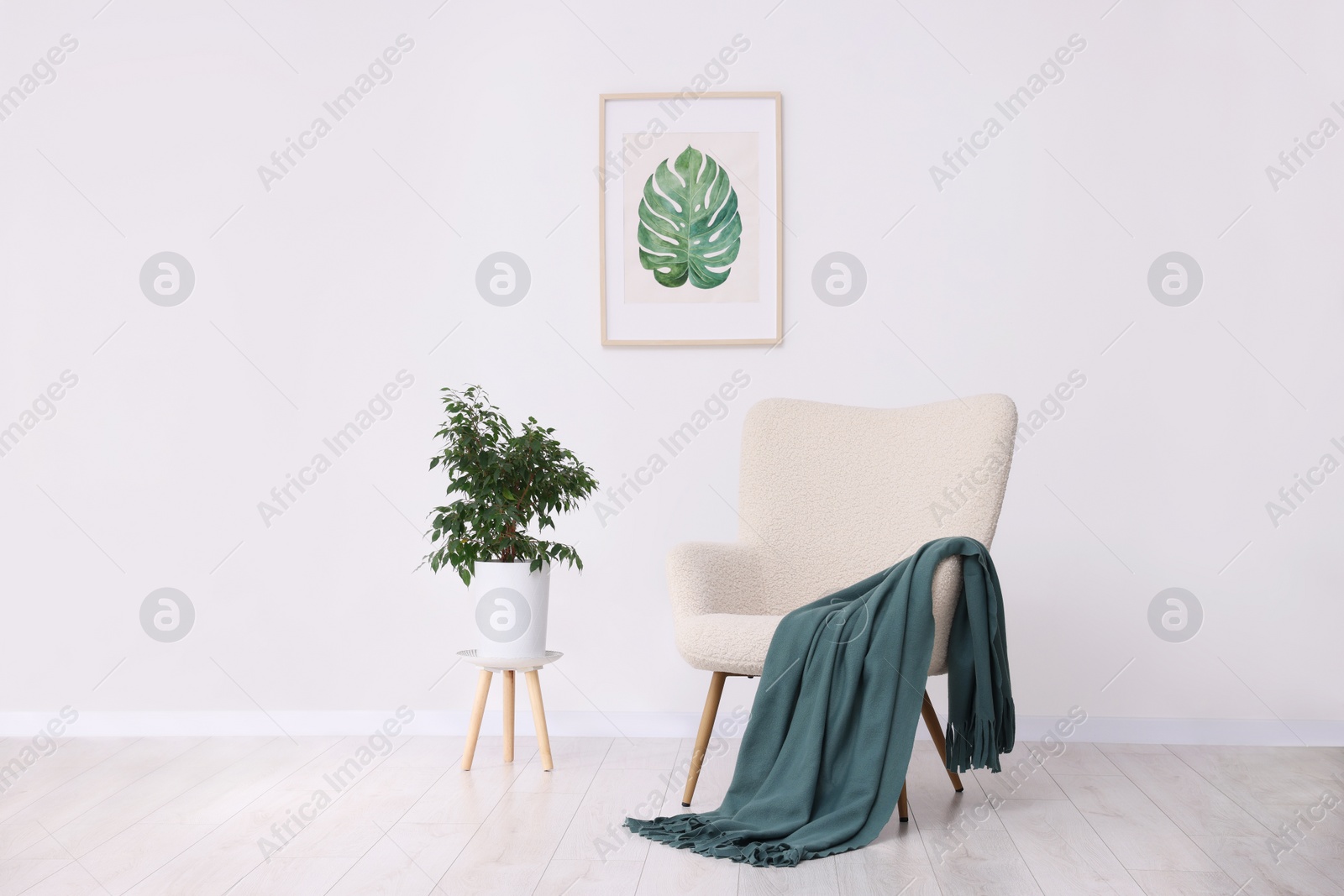 Photo of Comfortable armchair, blanket, houseplant and picture on white wall indoors