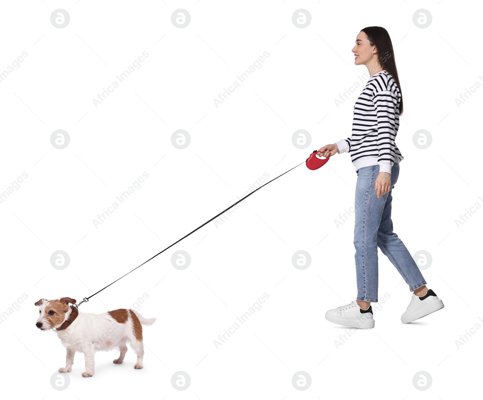 Image of Smiling woman walking with dog on white background