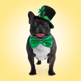 St. Patrick's day celebration. Cute French bulldog with green bow tie and leprechaun hat on yellow background