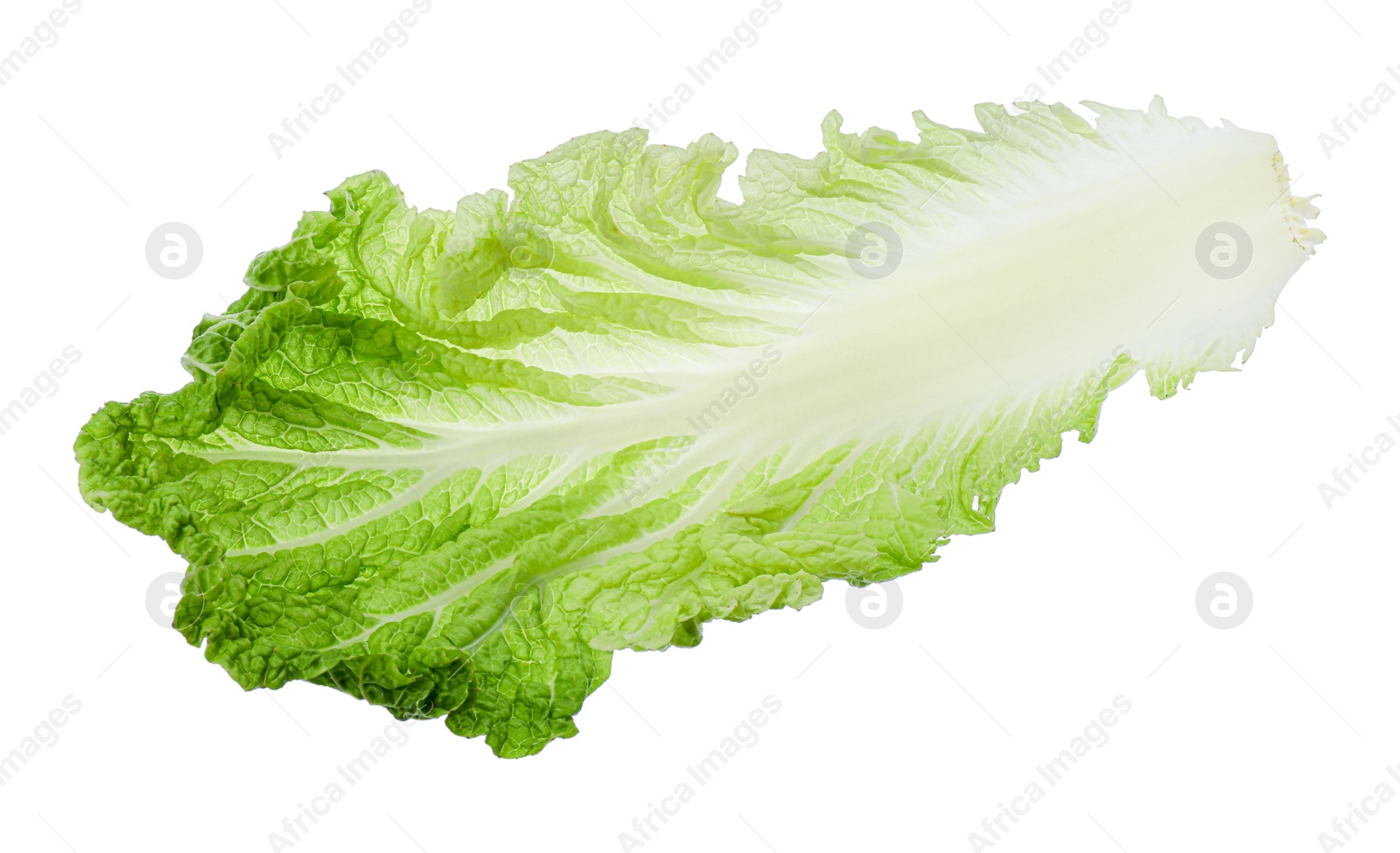 Photo of Leaf of Chinese cabbage isolated on white