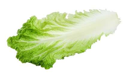 Leaf of Chinese cabbage isolated on white