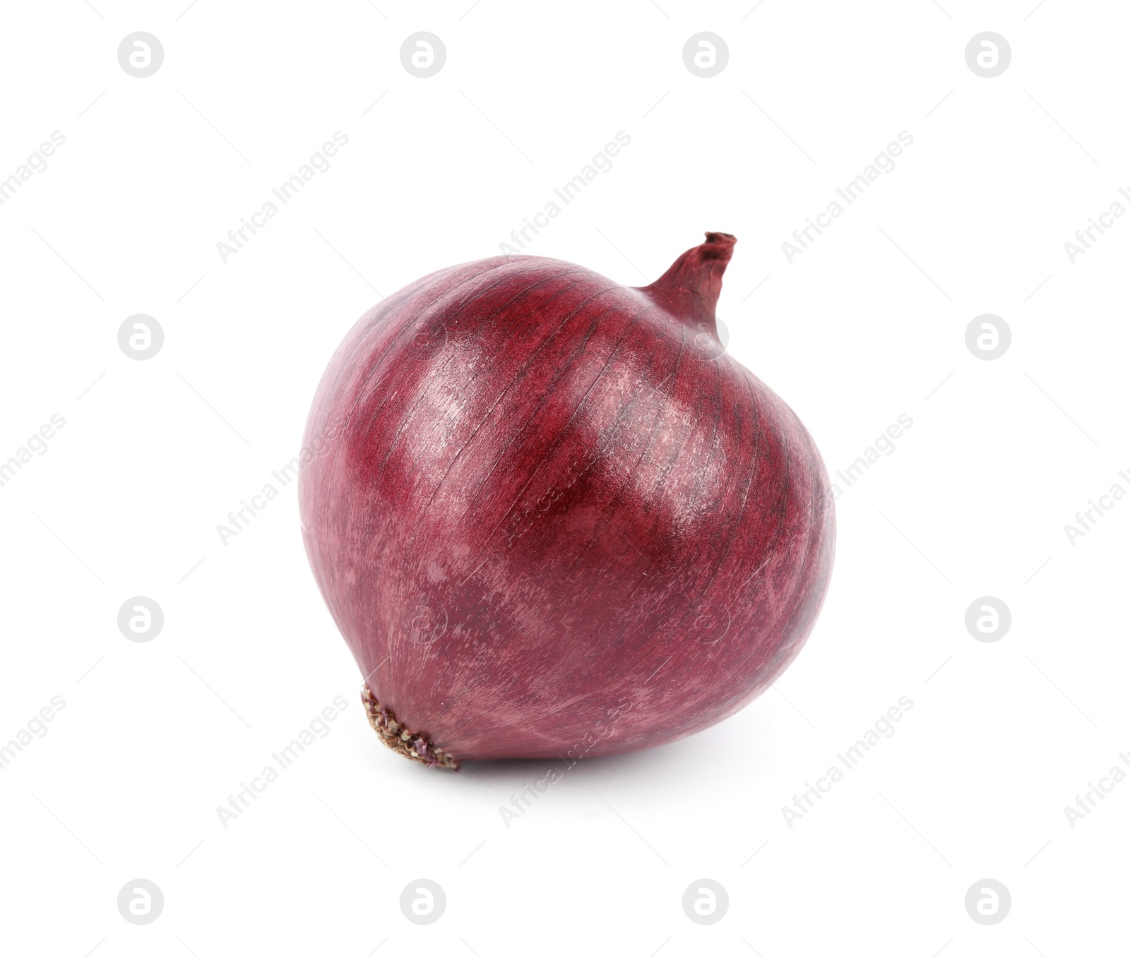 Photo of Fresh whole red onion on white background