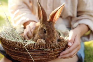 Woman with cute rabbit outdoors on sunny day, closeup