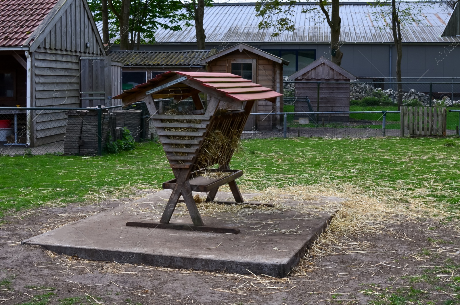 Photo of Wooden feeder full of straw on farm