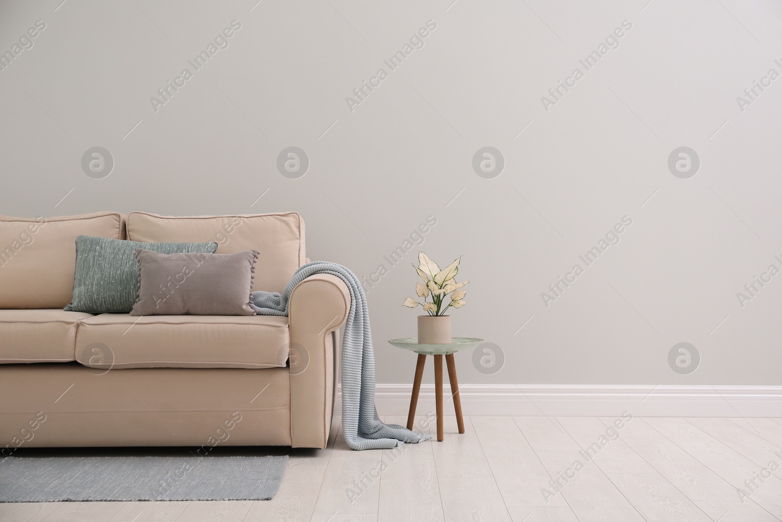 Photo of Simple room interior with comfortable beige sofa, space for text