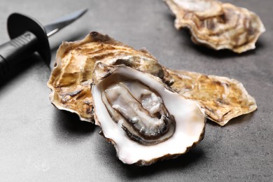 Photo of Fresh oysters and knife on grey table, closeup
