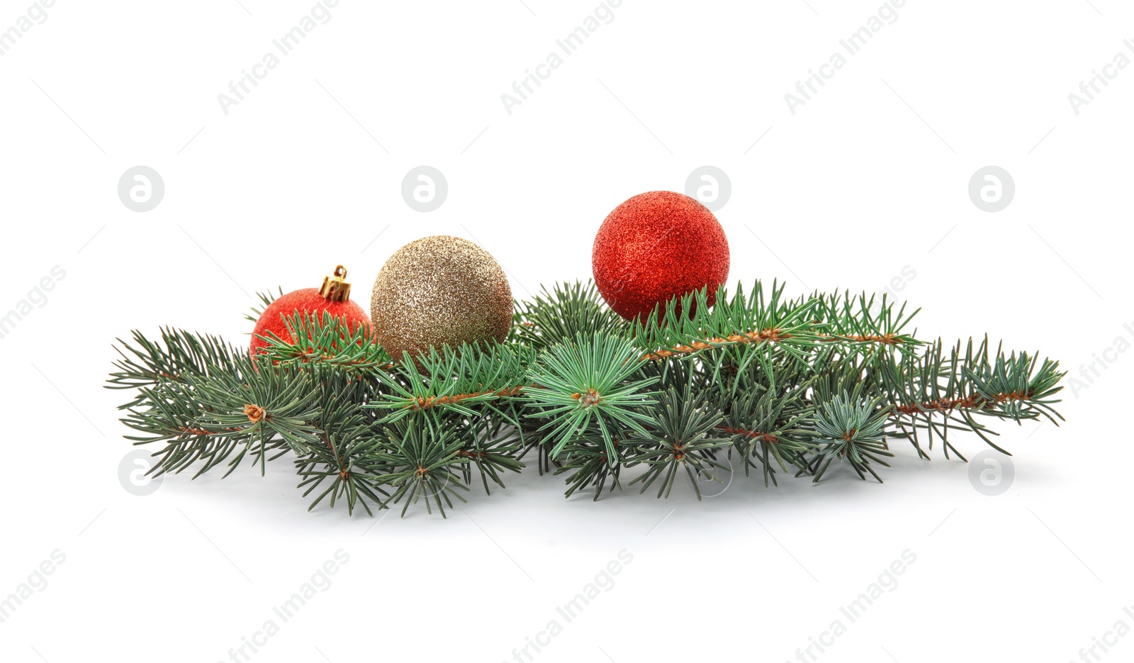 Photo of Branches of Christmas tree with decorations on white background