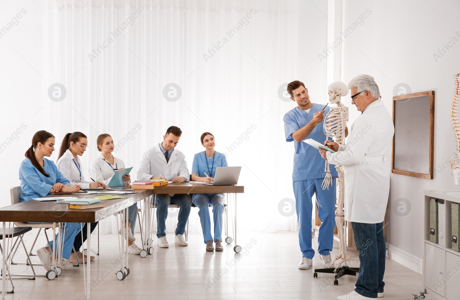 Photo of Medical students and professor studying human skeleton anatomy in classroom