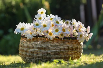 Photo of Beautiful wild flowers in wicker basket on green grass outdoors