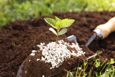 Photo of Shovel with soil, fertilizer and seedling outdoors, closeup