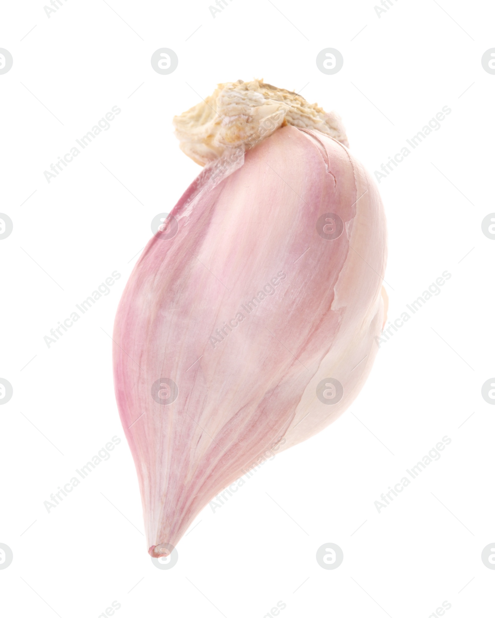 Photo of Cloves of fresh garlic isolated on white