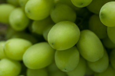 Photo of Ripe juicy grapes as background, closeup view