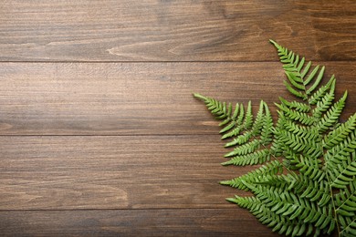 Beautiful tropical fern leaves on wooden background, flat lay. Space for text