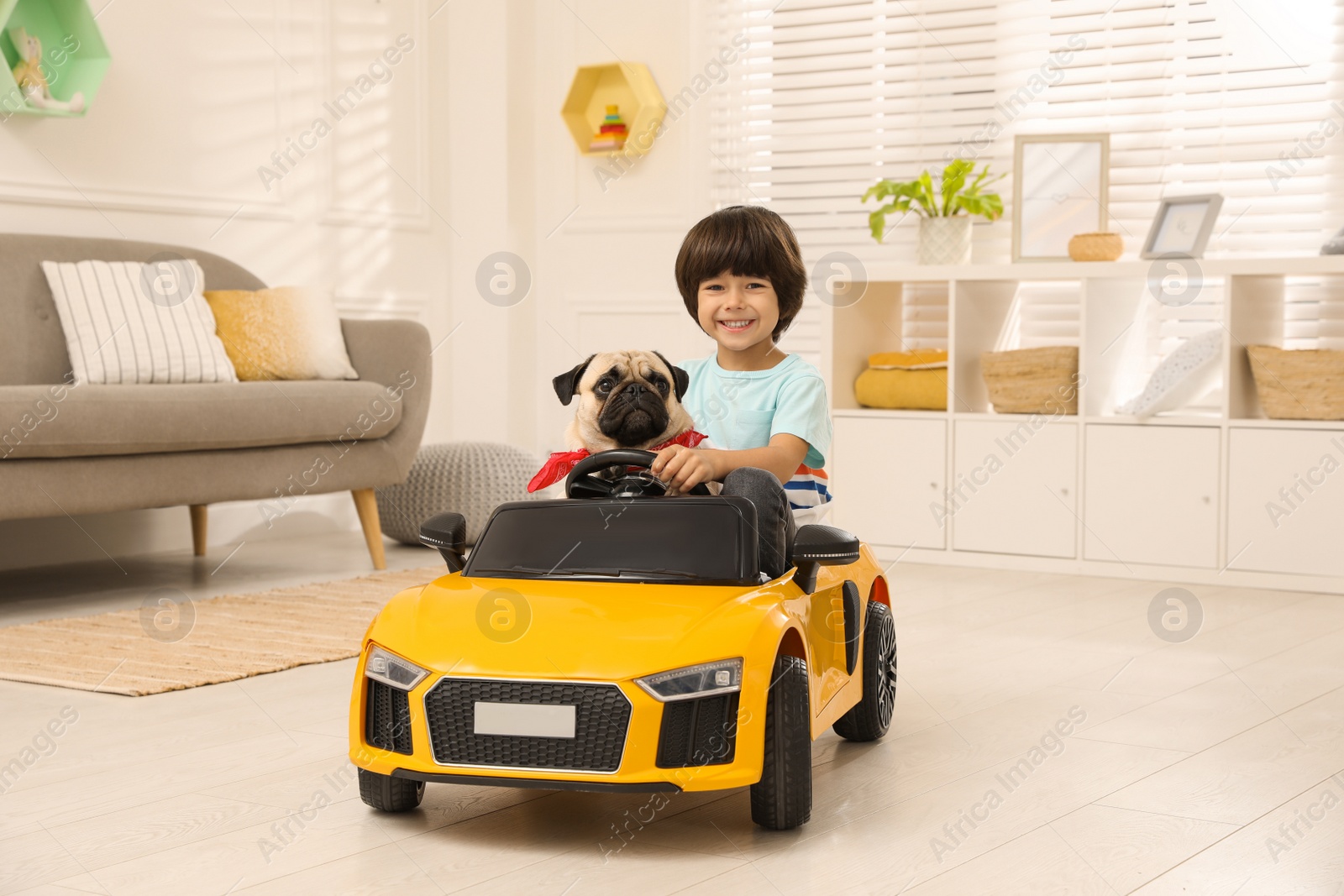 Photo of Little boy with his dog in toy car at home