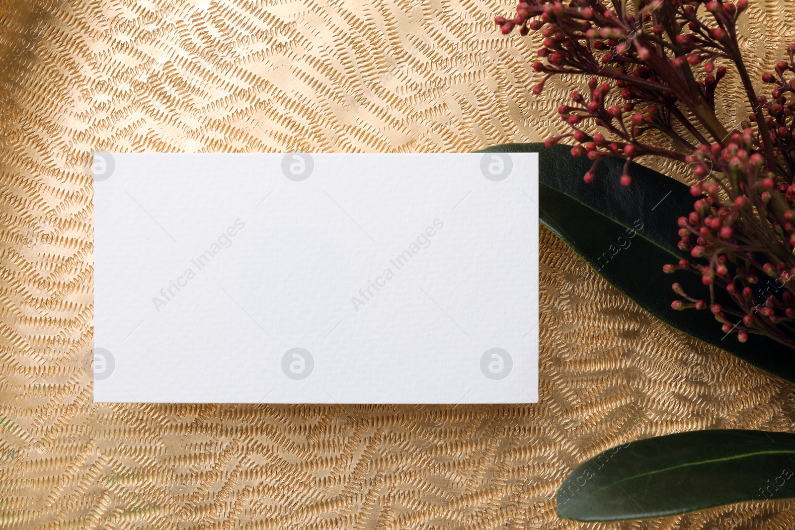 Photo of Blank business card and beautiful plant with green leaves on golden background, flat lay. Mockup for design