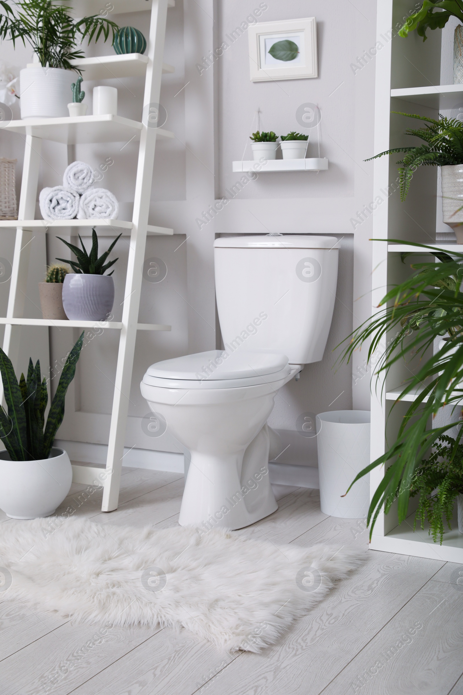 Photo of Stylish bathroom interior with toilet bowl and many beautiful houseplants