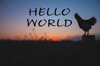 Image of Hello World. Big domestic rooster on stand at sunrise