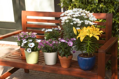 Many different beautiful blooming plants in flowerpots on wooden bench outdoors