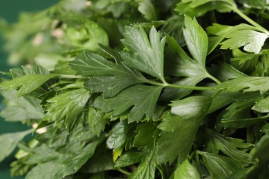 Photo of Closeup view of fresh green parsley leaves