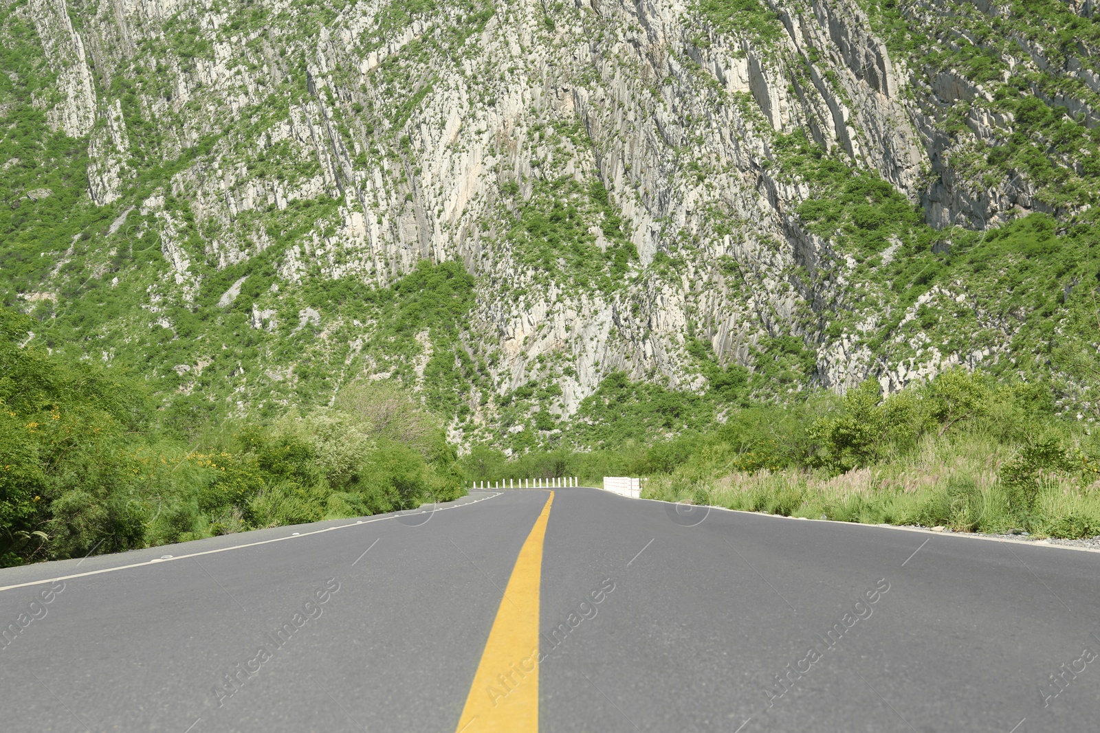 Photo of Picturesque view of big mountains and bushes near road