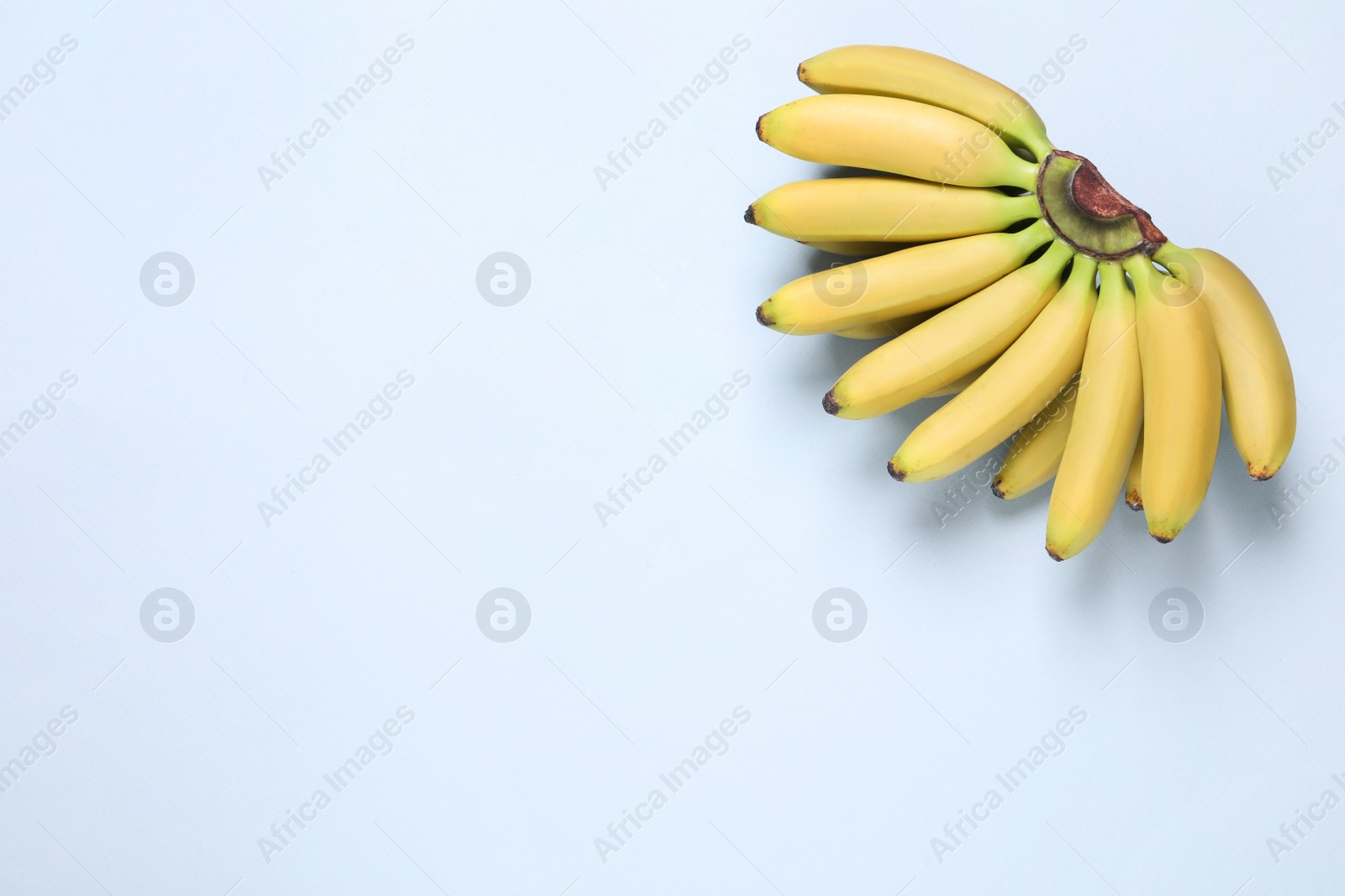 Photo of Bunch of ripe baby bananas on light blue background, top view. Space for text