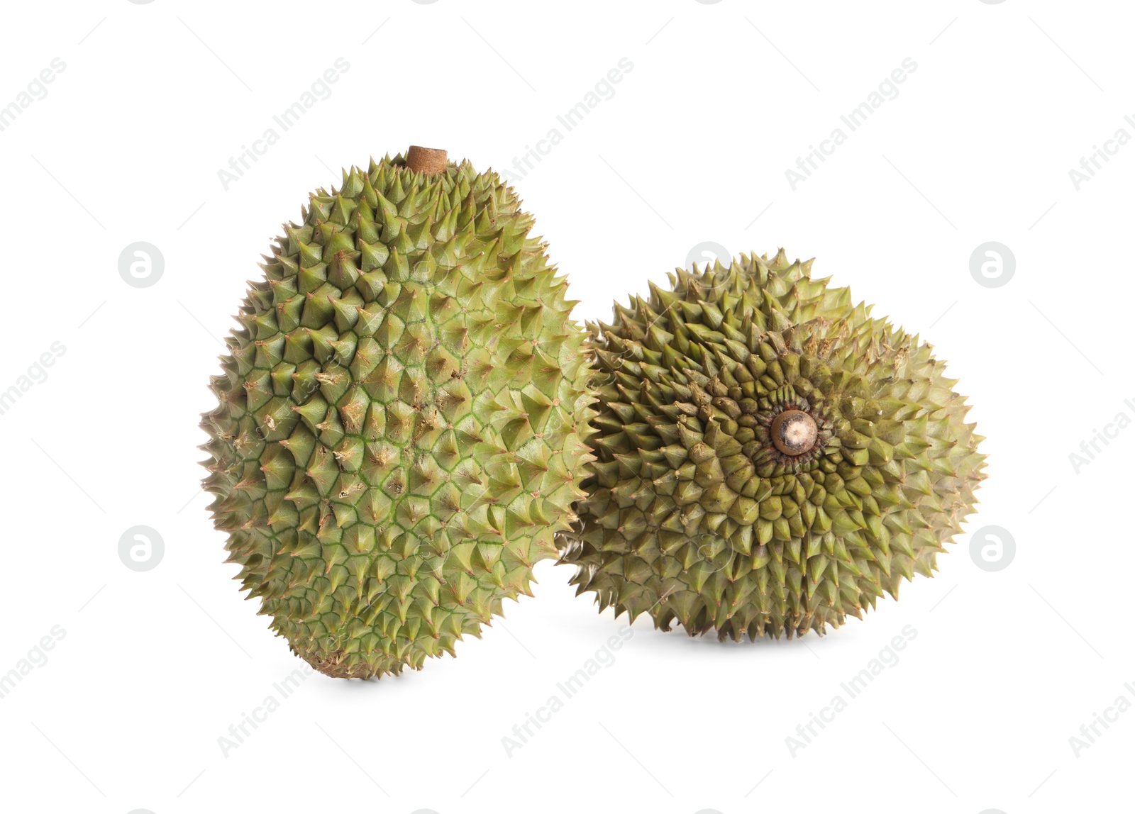 Photo of Whole ripe durian fruits on white background