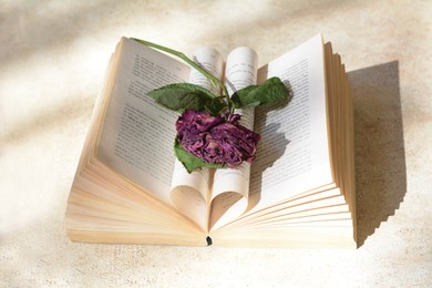 Photo of Book with beautiful dried flower on light table, above view