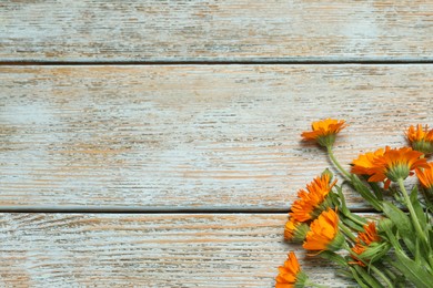 Photo of Beautiful fresh calendula flowers on light wooden table, flat lay. Space for text