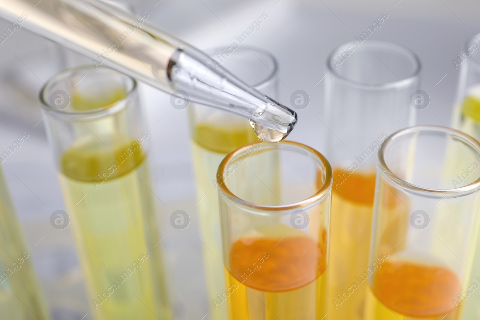 Photo of Dropping urine sample for analysis into tube, closeup