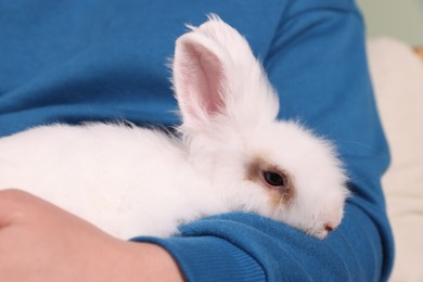 Photo of Man with cute fluffy white pet rabbit indoors, closeup