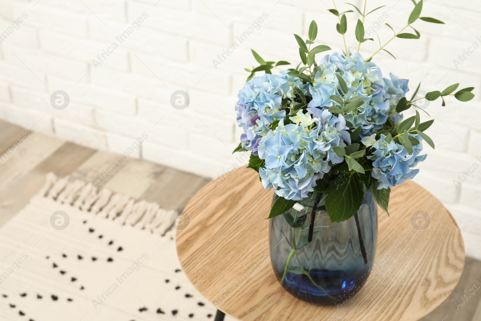 Photo of Beautiful blue hortensia flowers in vase on table indoors. Space for text