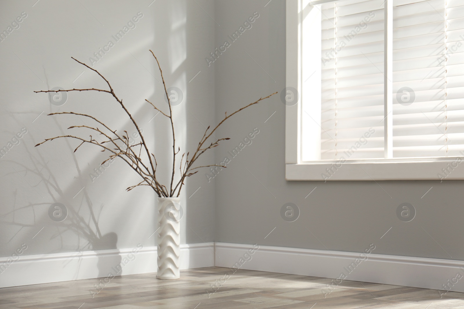 Photo of Beautiful tree twigs in vase on floor near window indoors, space for text