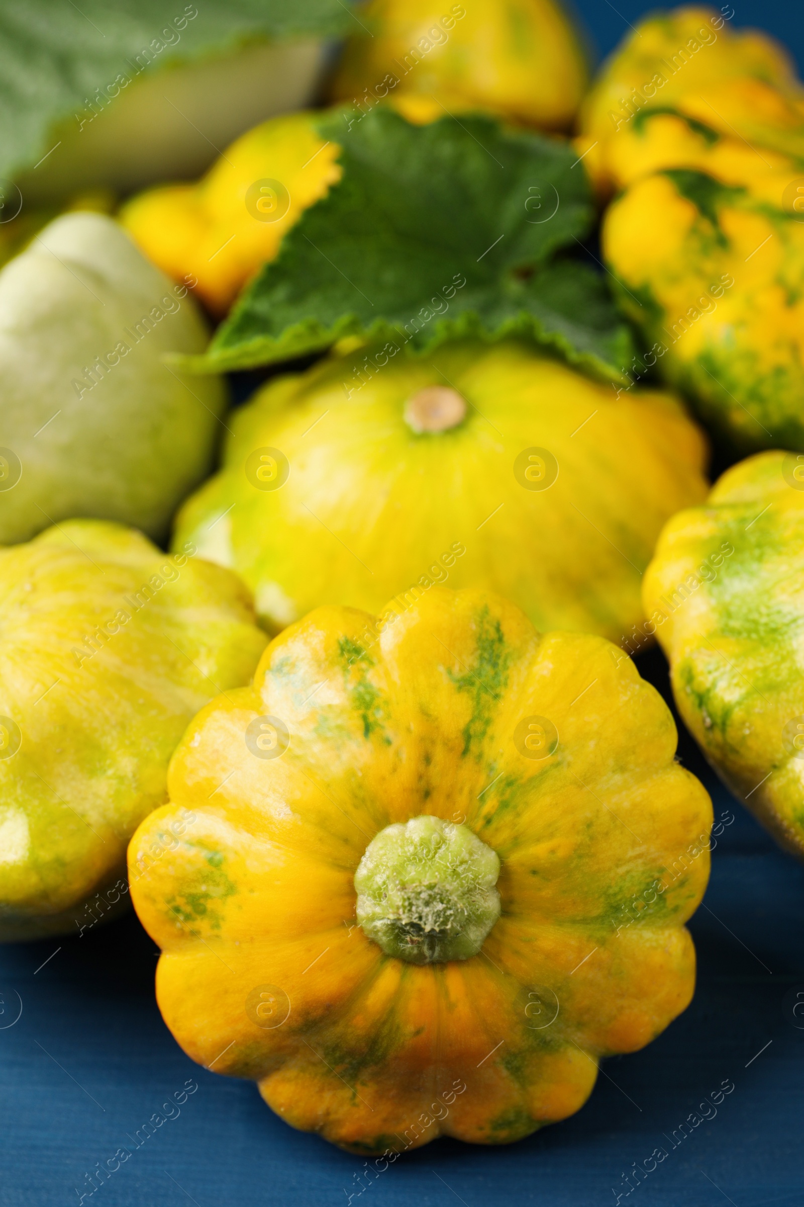 Photo of Fresh ripe pattypan squashes on blue wooden table, closeup