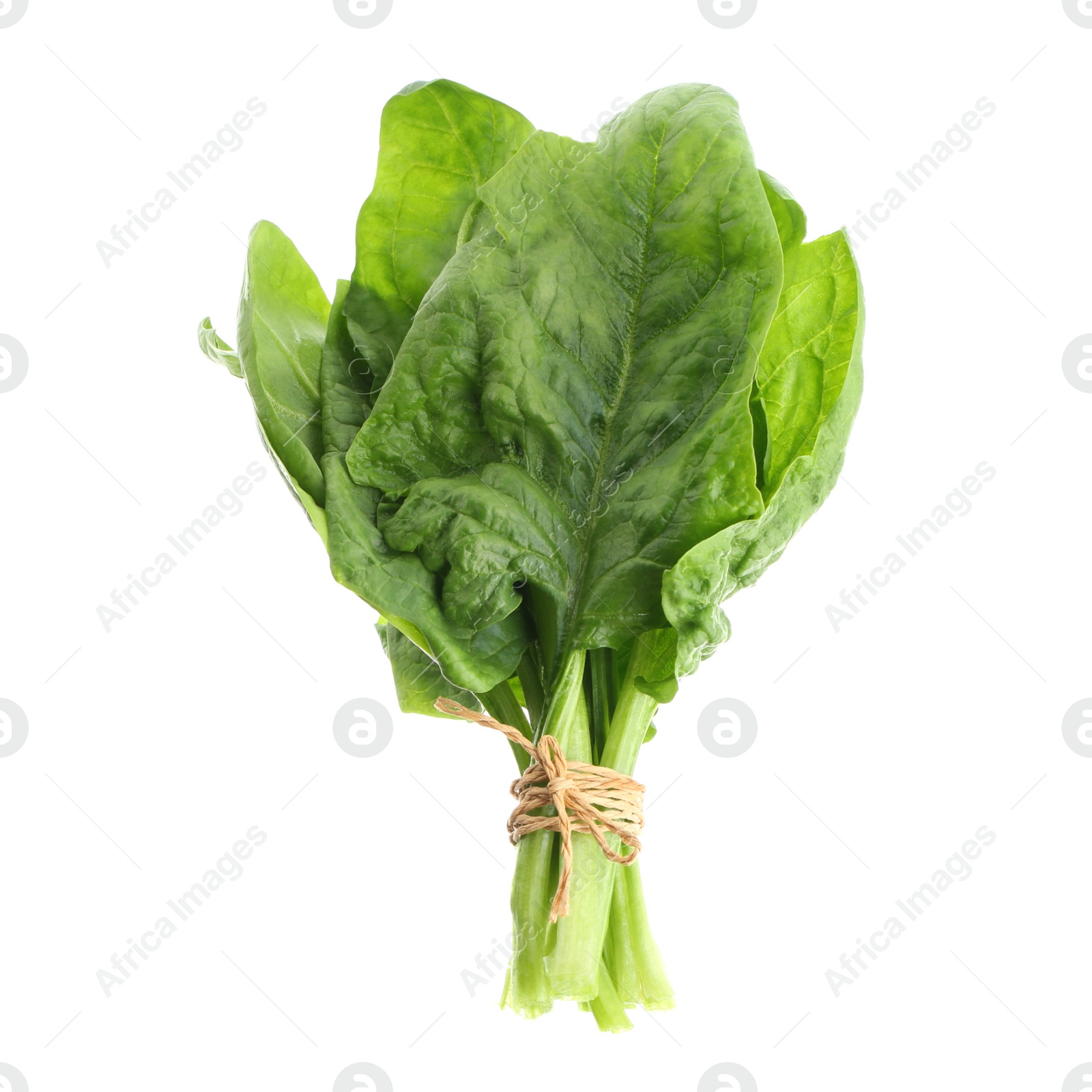 Photo of Bundle of fresh spinach isolated on white