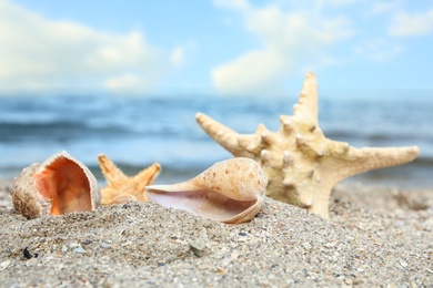 Photo of Beautiful starfish and shells on sand near sea. Beach objects