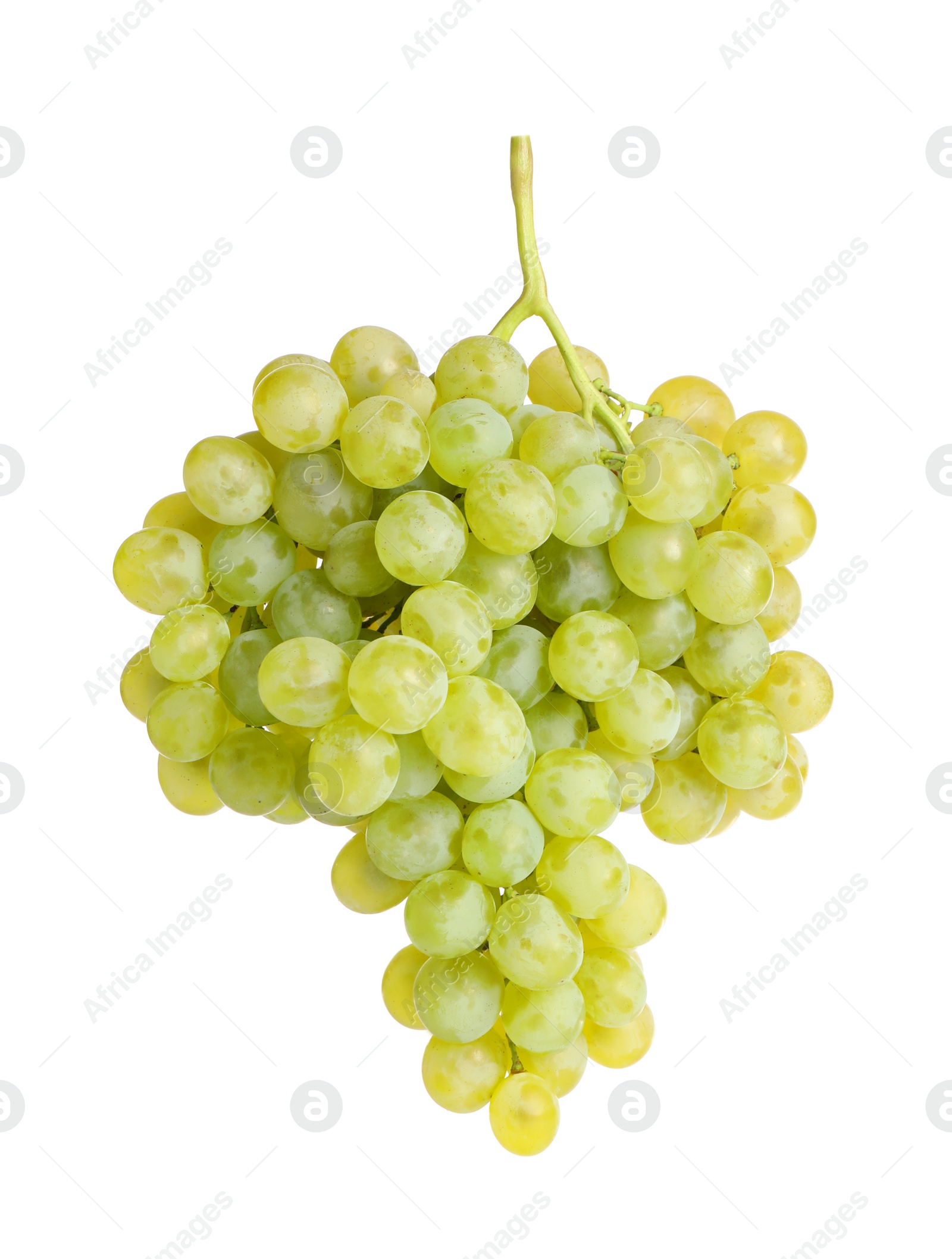 Photo of Bunch of fresh ripe juicy grapes isolated on white