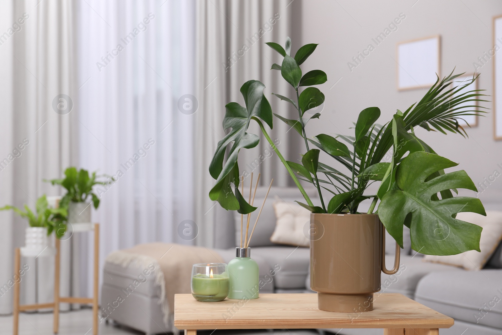 Photo of Ceramic vase with tropical leaves on wooden table in living room. Space for text