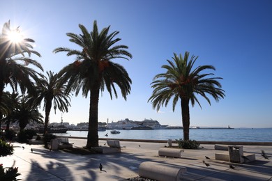 Photo of Beautiful view of embankment with palm trees and calm sea under blue sky
