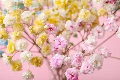 Beautiful dyed gypsophila flowers on pink background, closeup