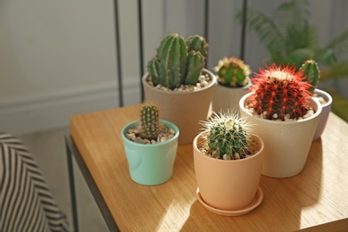 Beautiful cacti on small wooden table indoors