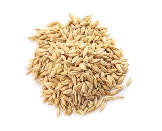 Photo of Raw barley on white background. Healthy grains and cereals