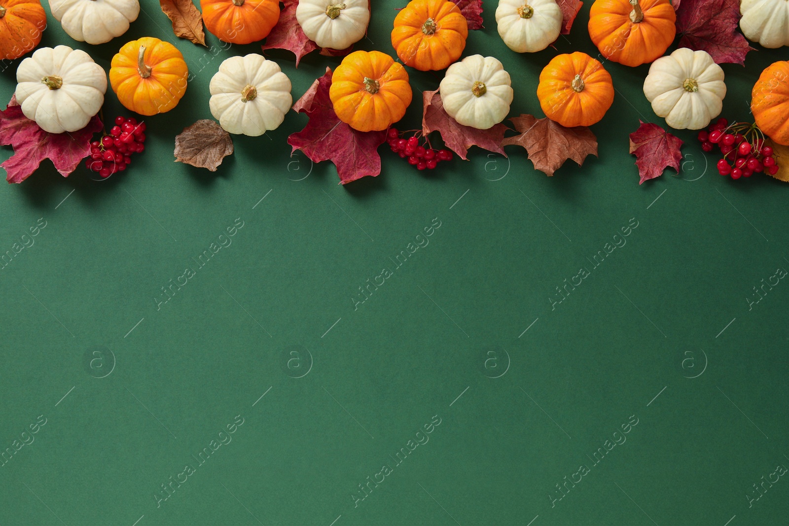 Photo of Happy Thanksgiving day. Flat lay composition with pumpkins on green background, space for text