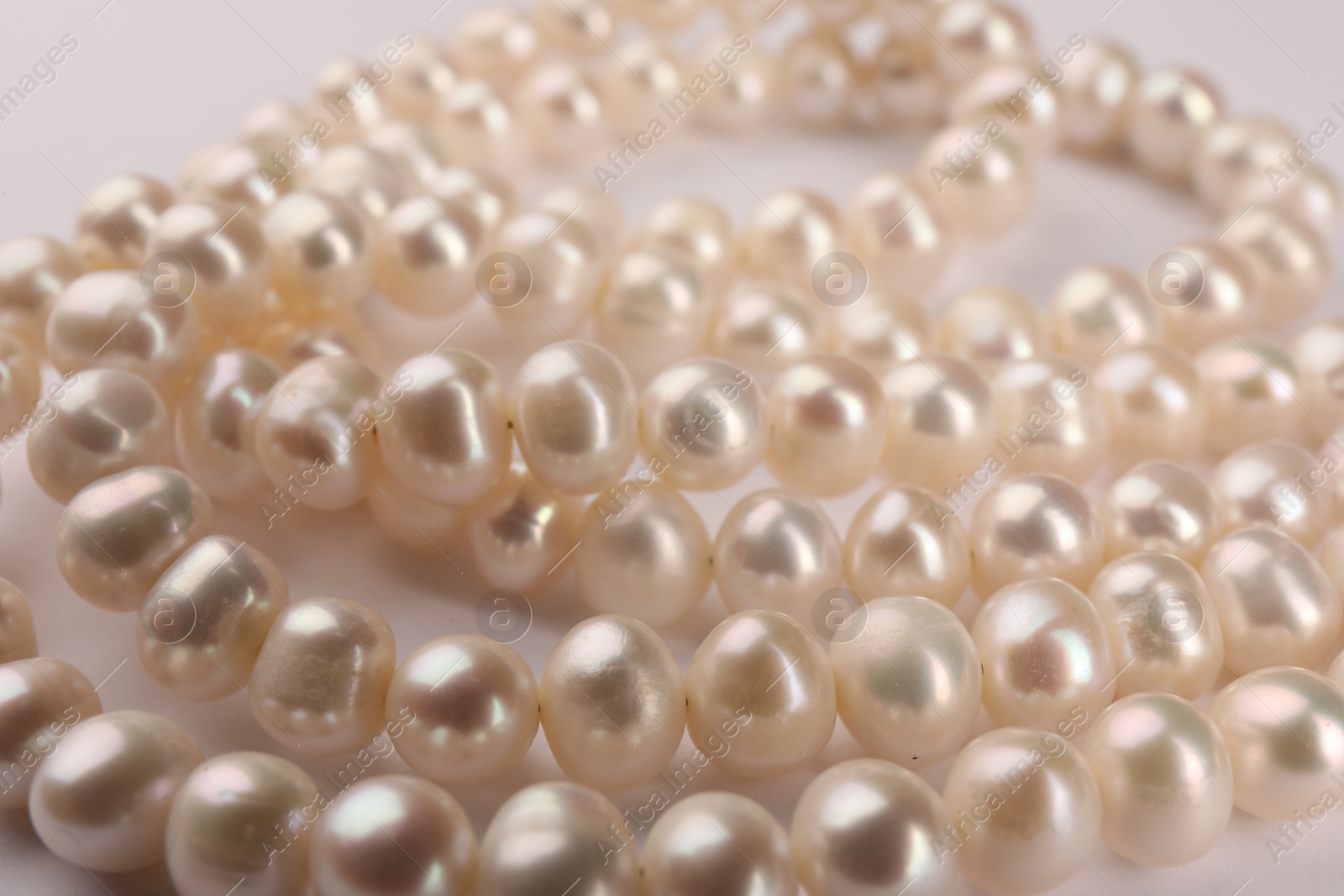 Photo of Elegant pearl necklace on white background, closeup