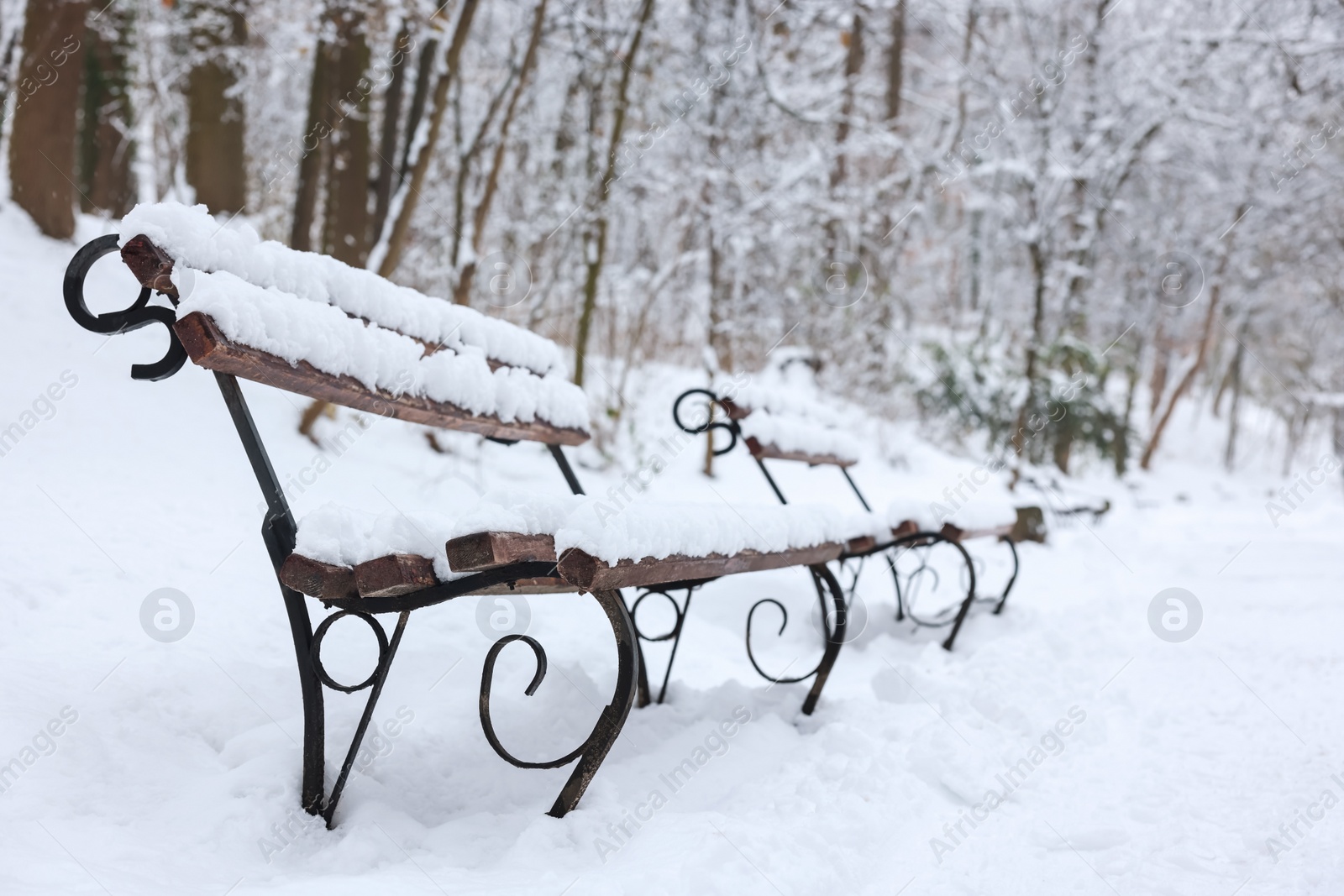 Photo of Benches covered with snow in winter park. Space for text