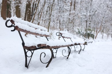 Photo of Benches covered with snow in winter park. Space for text